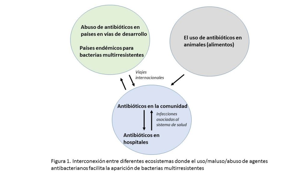 Figura1 SSPCB 2017