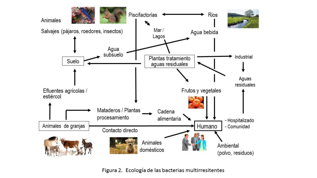 Figura2 SSPCB 2017